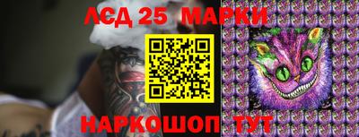 прущие грибы Новодвинск