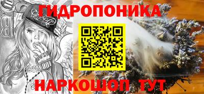 прущие грибы Новодвинск