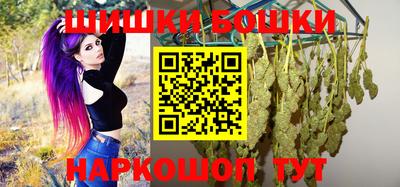 прущие грибы Новодвинск
