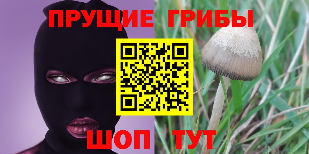 Галлюциногенные грибы Psilocybine cubensis  Вход с VPN  Сарапул  Галлюциногенные грибы прущие грибы 